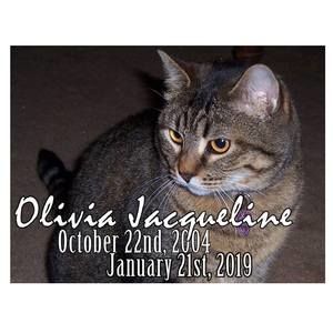 Meet your Posher, Katrina